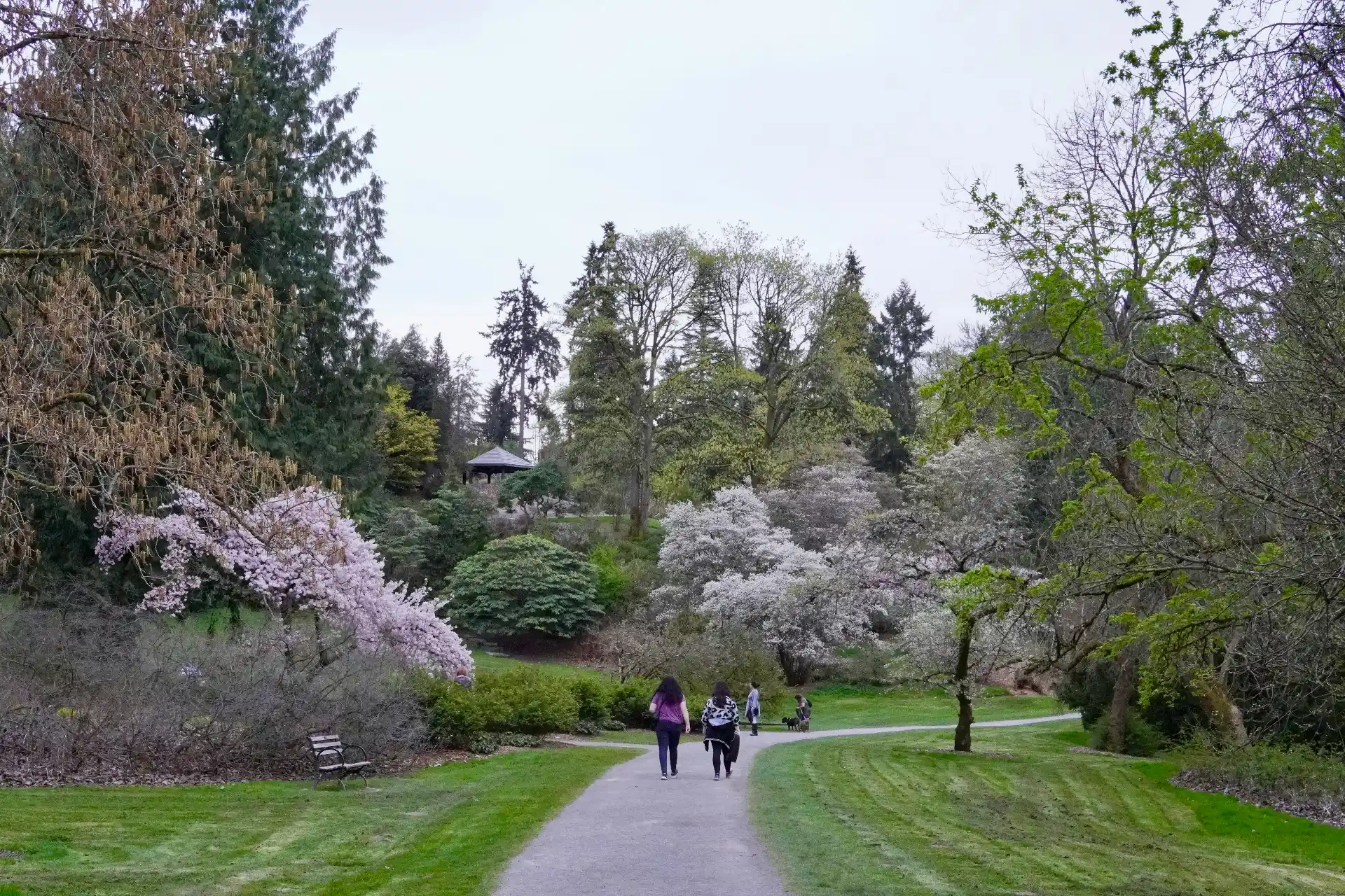 fall date ideas seattle